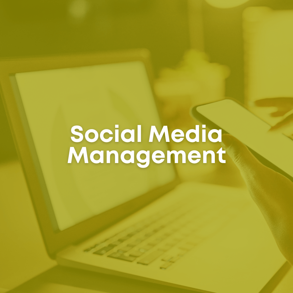 social media management for business